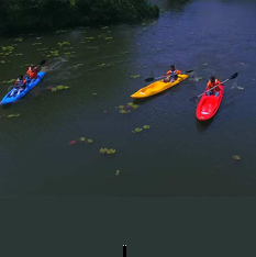 Wayanad