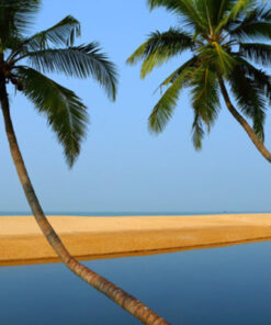 Kerala Exclusive