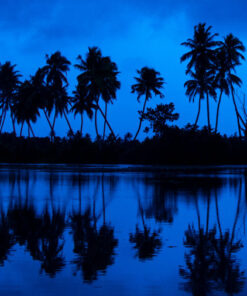 Kerala Coast To Coast