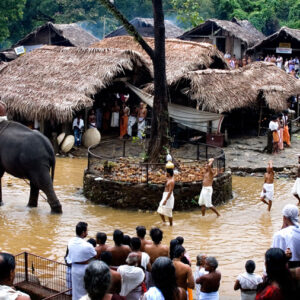 Cultural Experiences