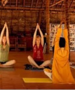 Yoga and Meditation