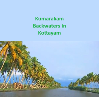 Kumarakam Backwaters in Kottayam