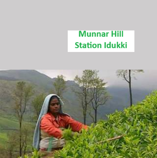 Munnar Hill Station Idukki